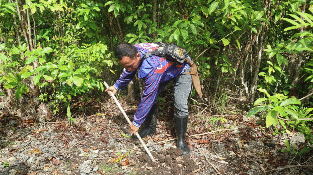 A Day in the Life of a Forest Guard: Mr. Junrey Lastimoso