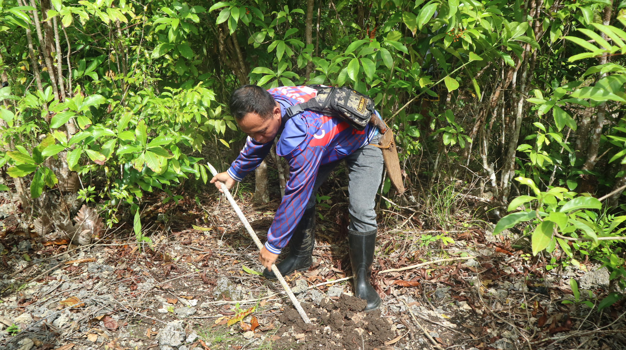 A Day in the Life of a Forest Guard: Mr. Junrey Lastimoso
