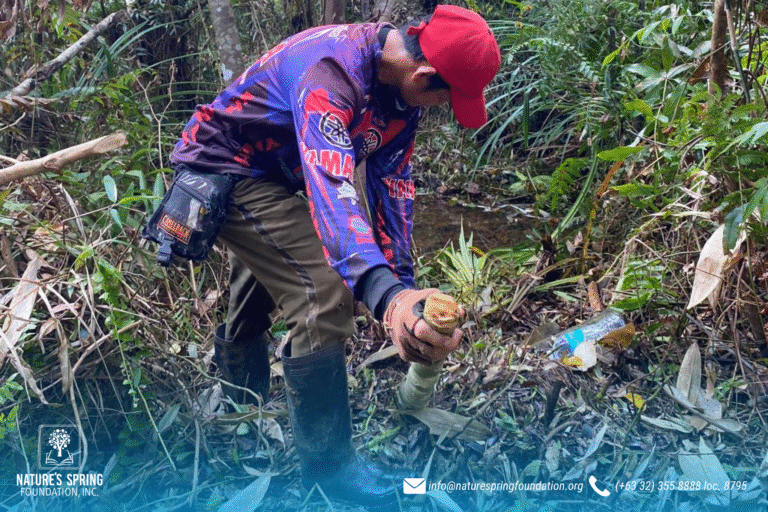 NSFI Kicks Off Tree Growing Initiative in Protected Area of Siniloan, Laguna