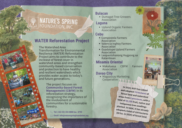 NSFI believes protecting forests means protecting futures—for communities, ecosystems, and generations to come.